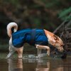 Miniaturansicht: Cool on Track Cooling Dog Coat – Ansicht 2