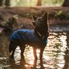 Miniaturansicht: Cool on Track Cooling Dog Coat – Ansicht 5