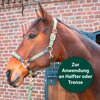 Equisept Fliegen- und Bremsenmedaillon