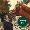 Equisept Fliegen- und Bremsenmedaillon