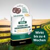 Miniaturansicht: Equisept Fliegen- und Bremsenmedaillon für Pferde – Ansicht 3