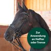 Miniaturansicht: Equisept Fliegen- und Bremsenmedaillon für Pferde – Ansicht 4