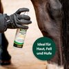 Miniaturansicht: Equisept Wundpflegespray – Ansicht 5