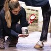 Miniaturansicht: leovet Hydro Huf Gel &ndash; Ansicht 3