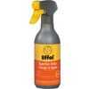orange/ingwer