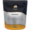 Miniaturansicht: EQUANIS GastroActive &ndash; Ansicht 1