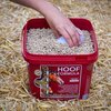 Miniaturansicht: KEVIN BACON'S Hoof Formula – Ansicht 2