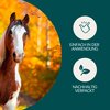 Miniaturansicht: vetevo Wurmtest – Ansicht 5