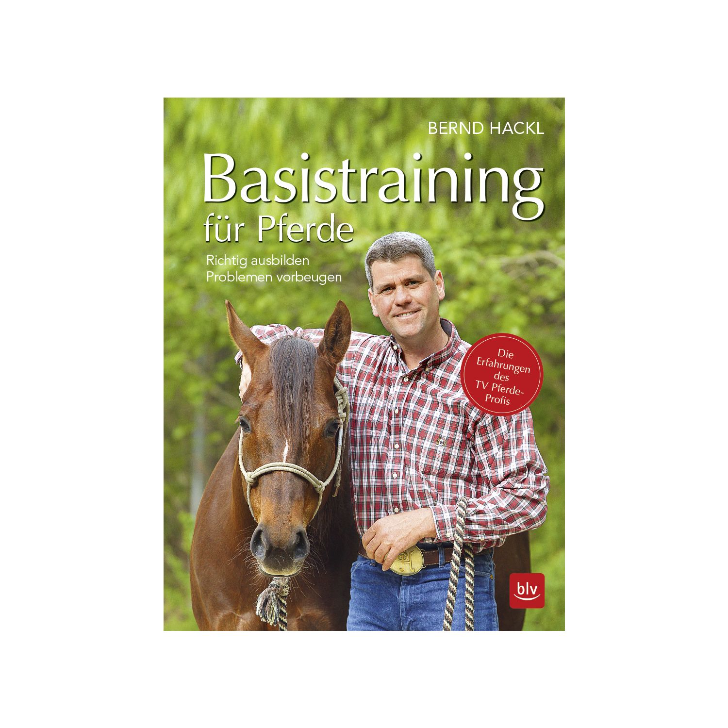 Basistraining für Pferde 
