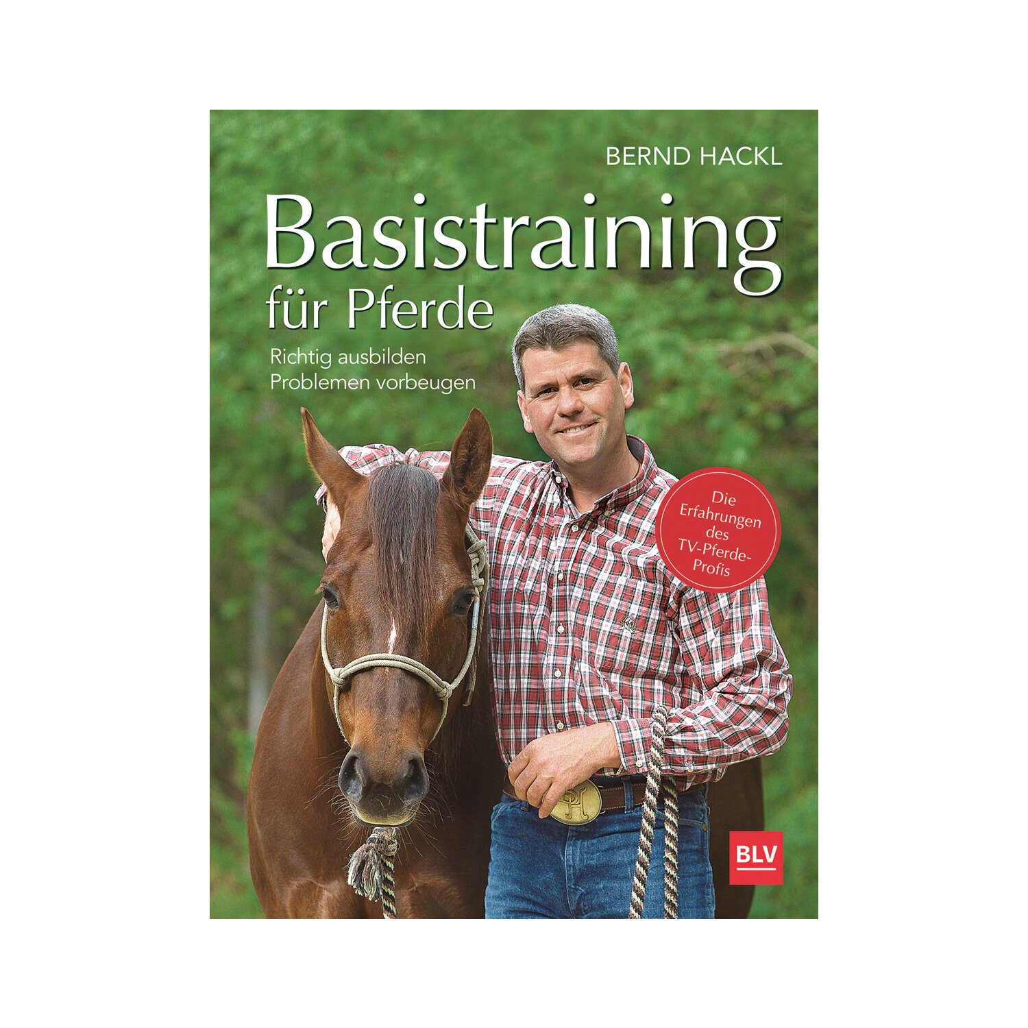 Basistraining für Pferde 