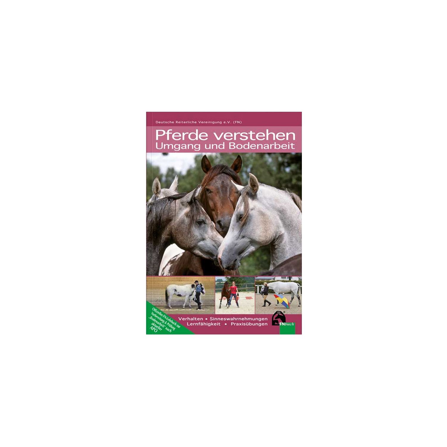 Pferde verstehen - Umgang und Bodenarbeit, FNverlag 