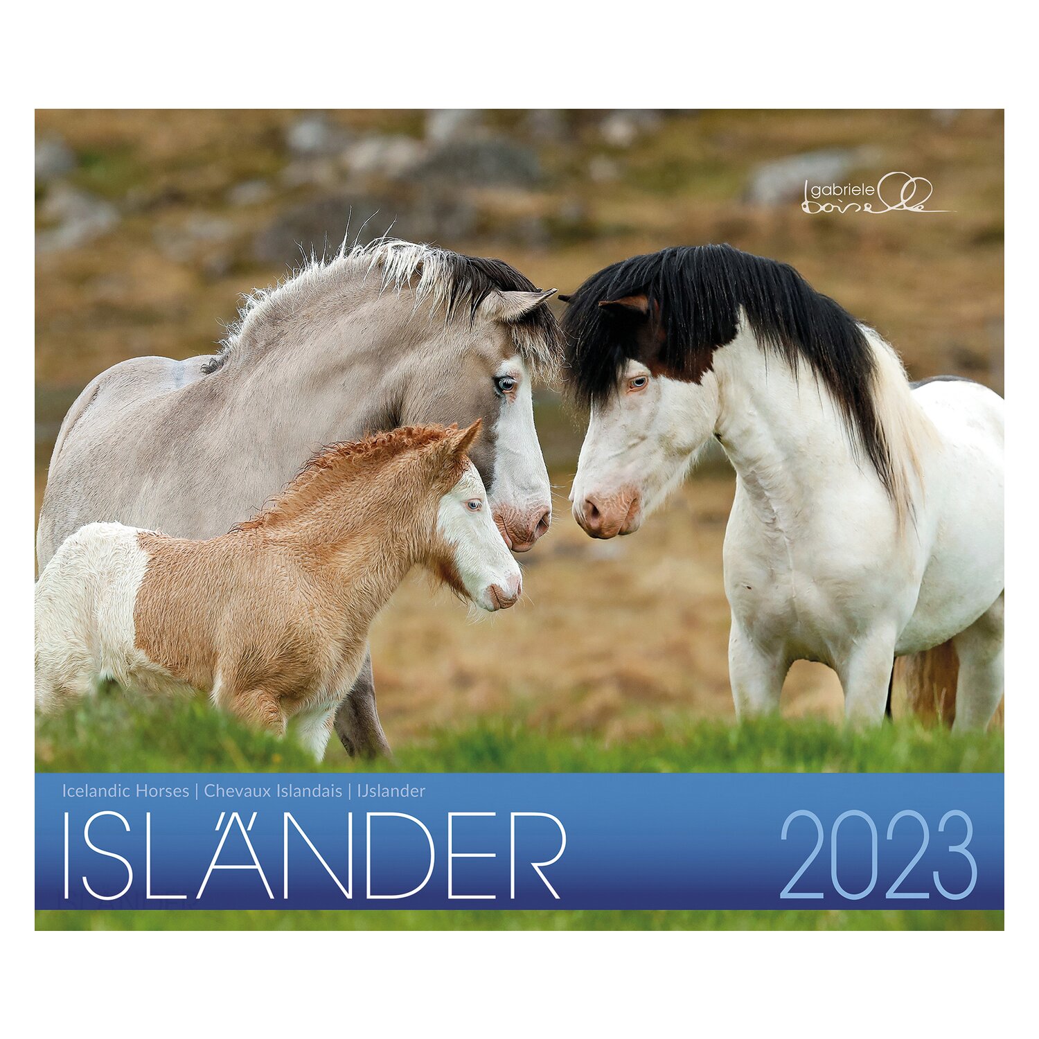 Kalender Isländer - Edition Boiselle 2023