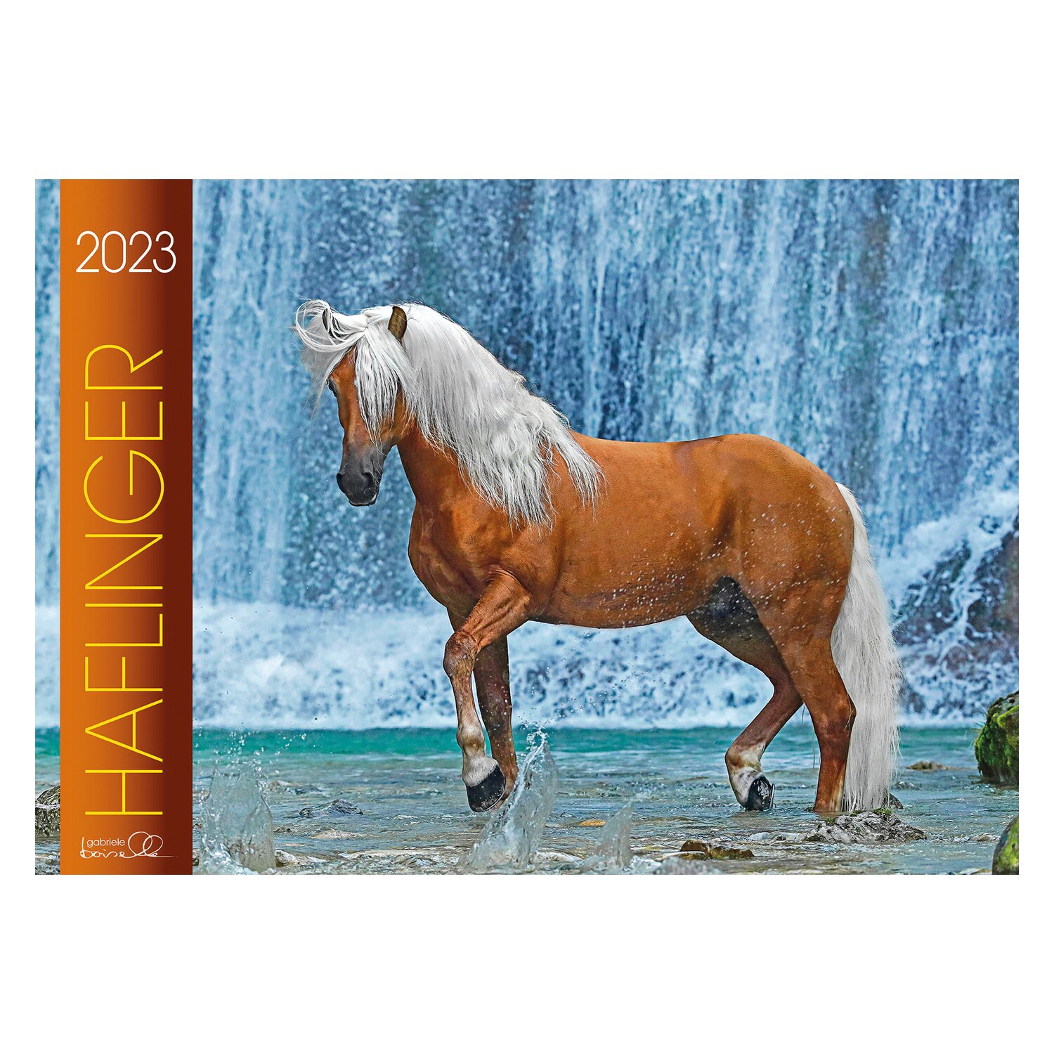Kalender Haflinger - Edition Boiselle 2023
