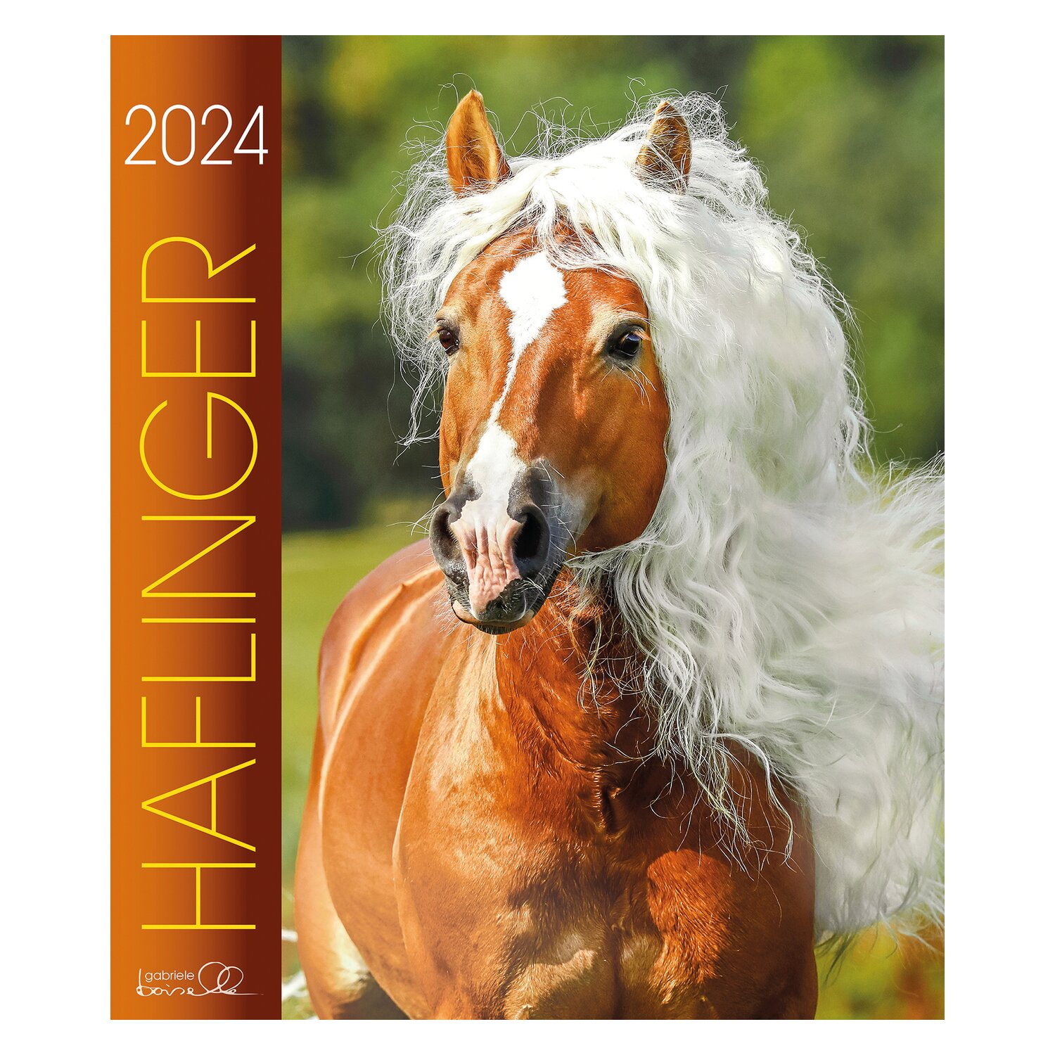 Kalender Haflinger - Edition Boiselle 2024