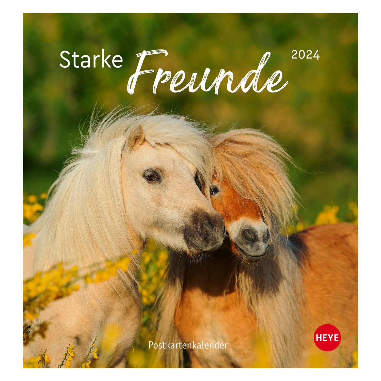 Kalender Pferde - Starke Freunde 2024 2024