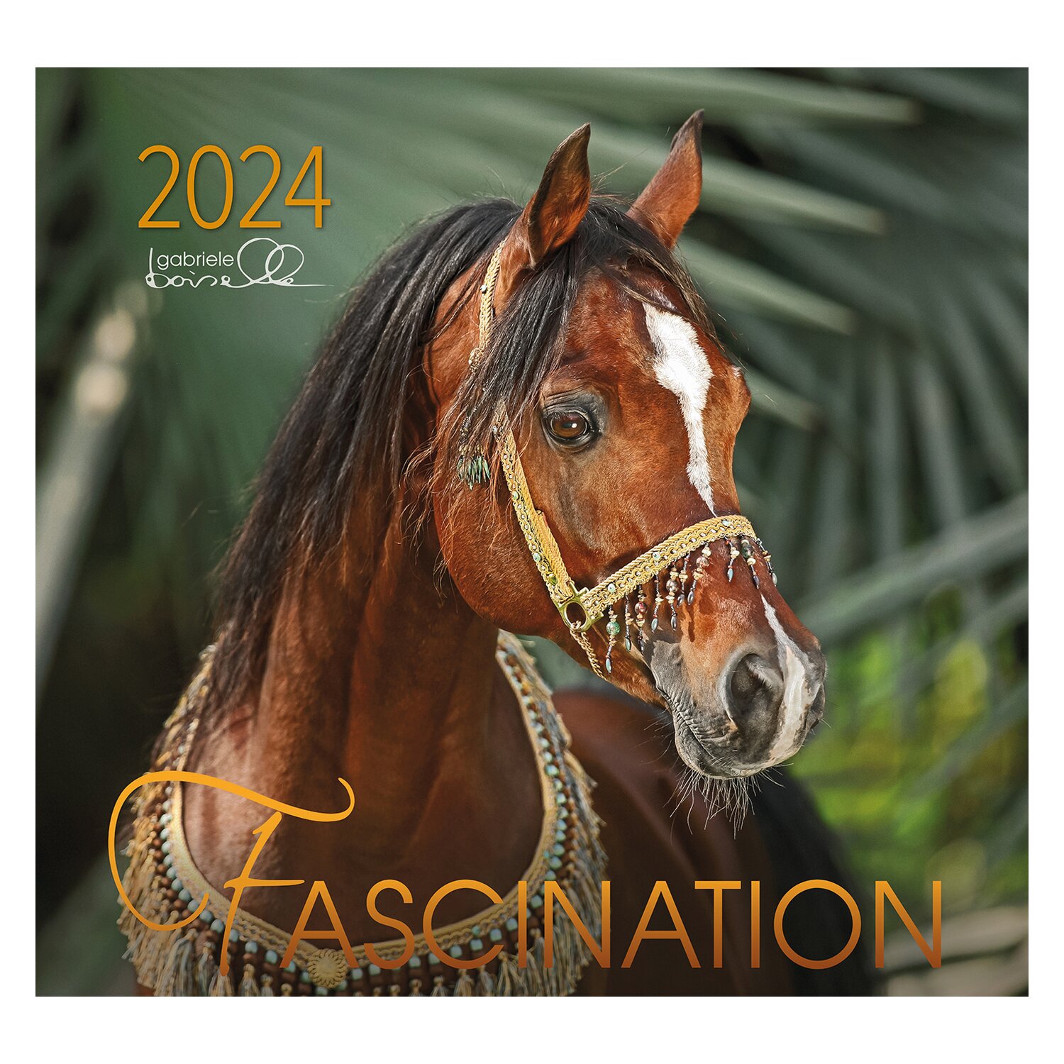 Kalender Fascination - Edition Boiselle 2024 2024
