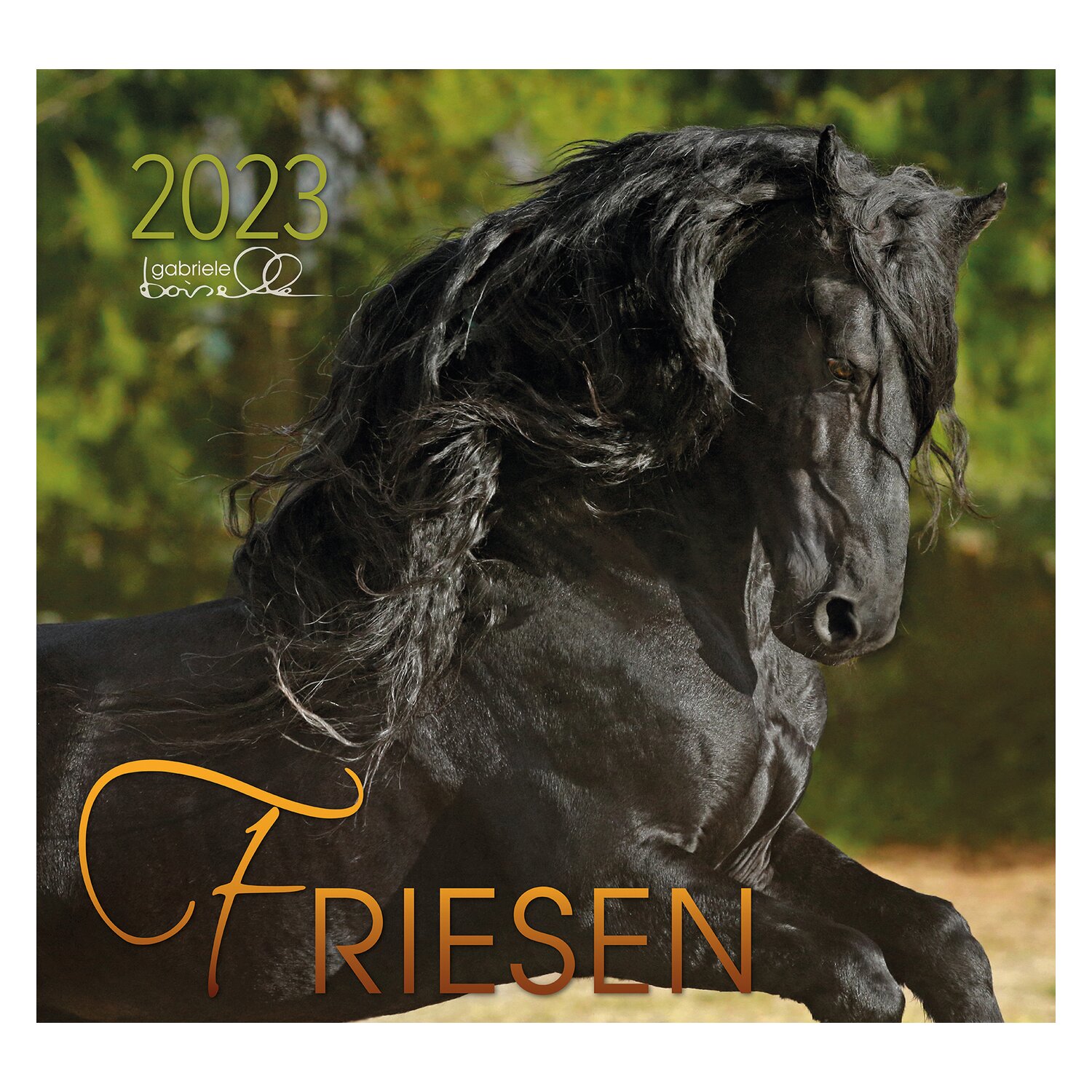 Kalender Friesen - Edition Boiselle 2023