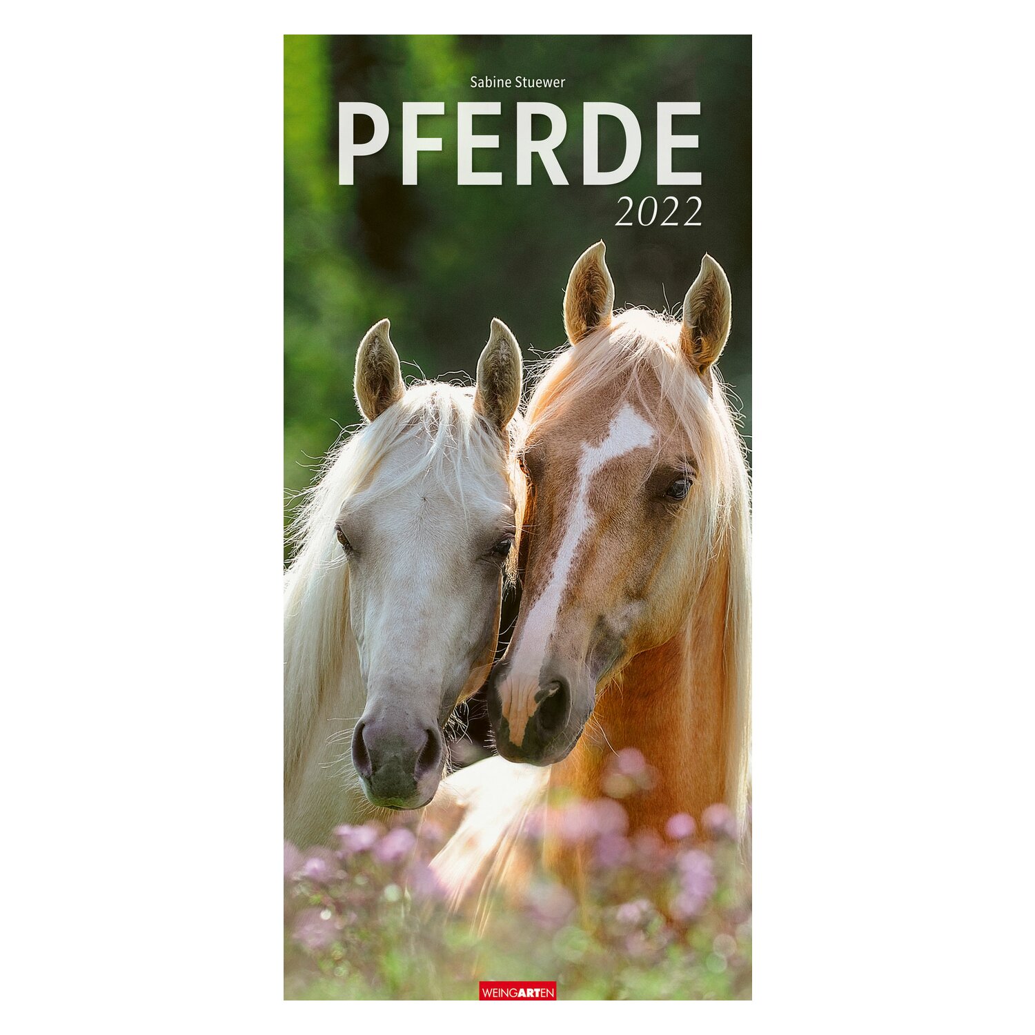 Kalender Pferde 2022 2022