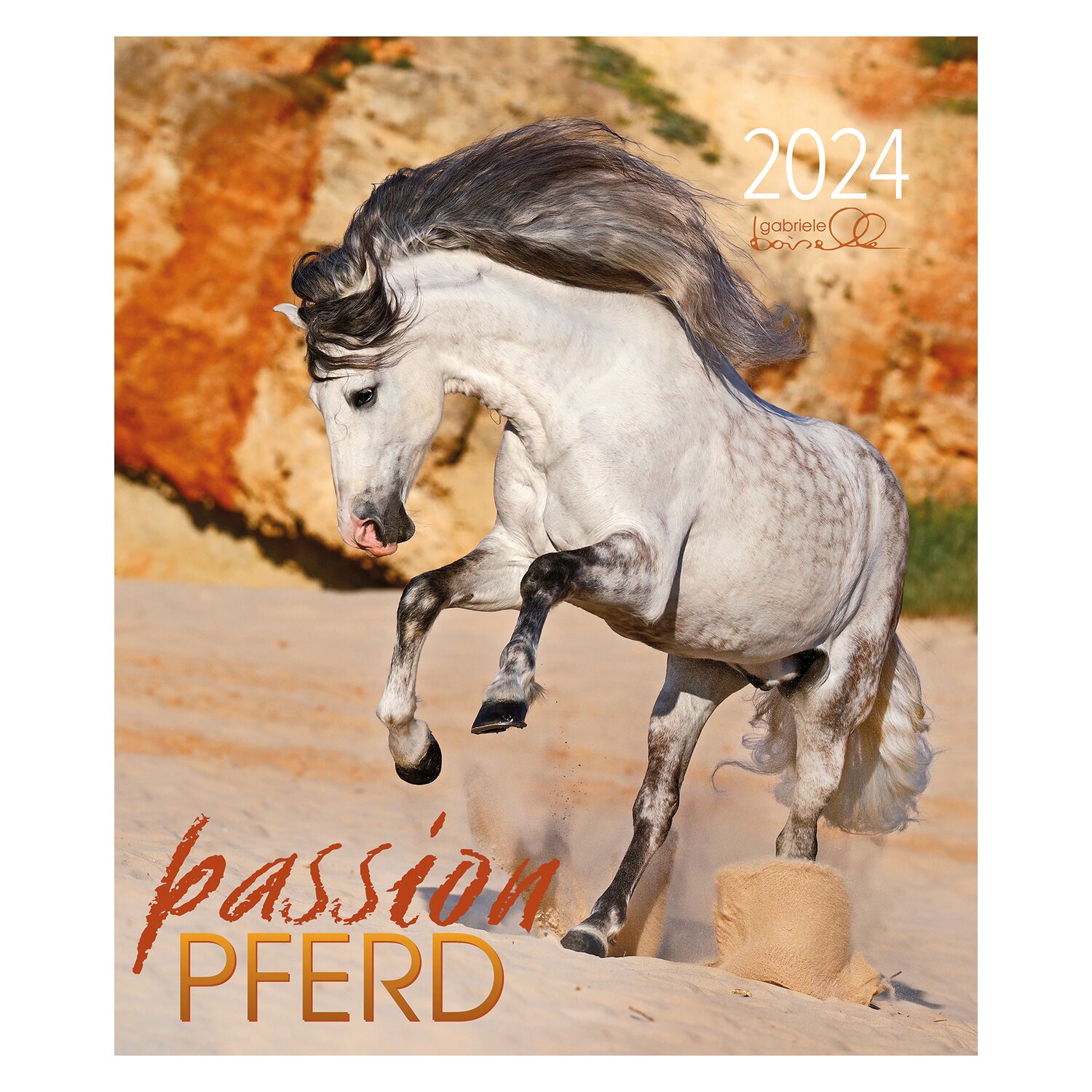 Kalender Passion Pferd - Edition Boiselle 2024 2024 - Kalender