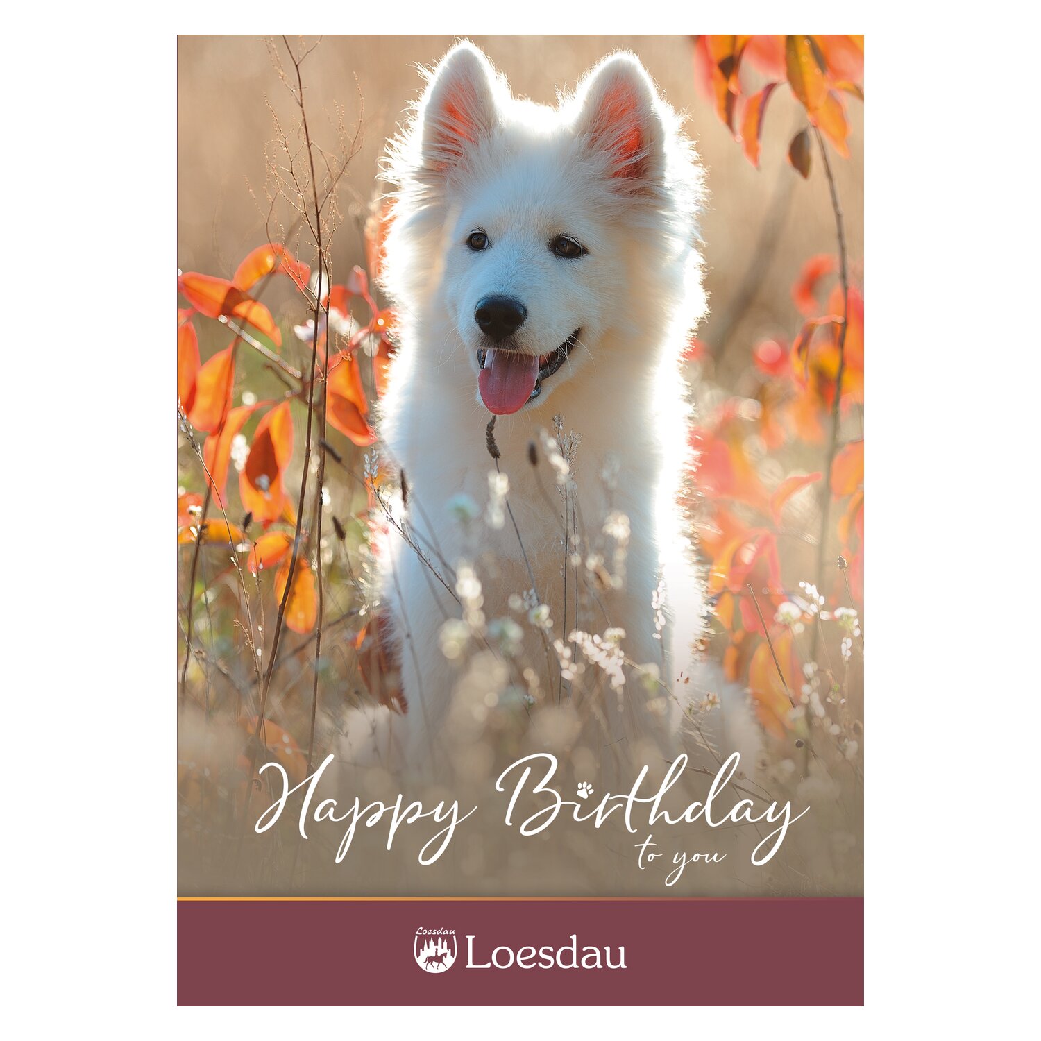 Loesdau Gutschein zum Drucken Happy Birthday Dog