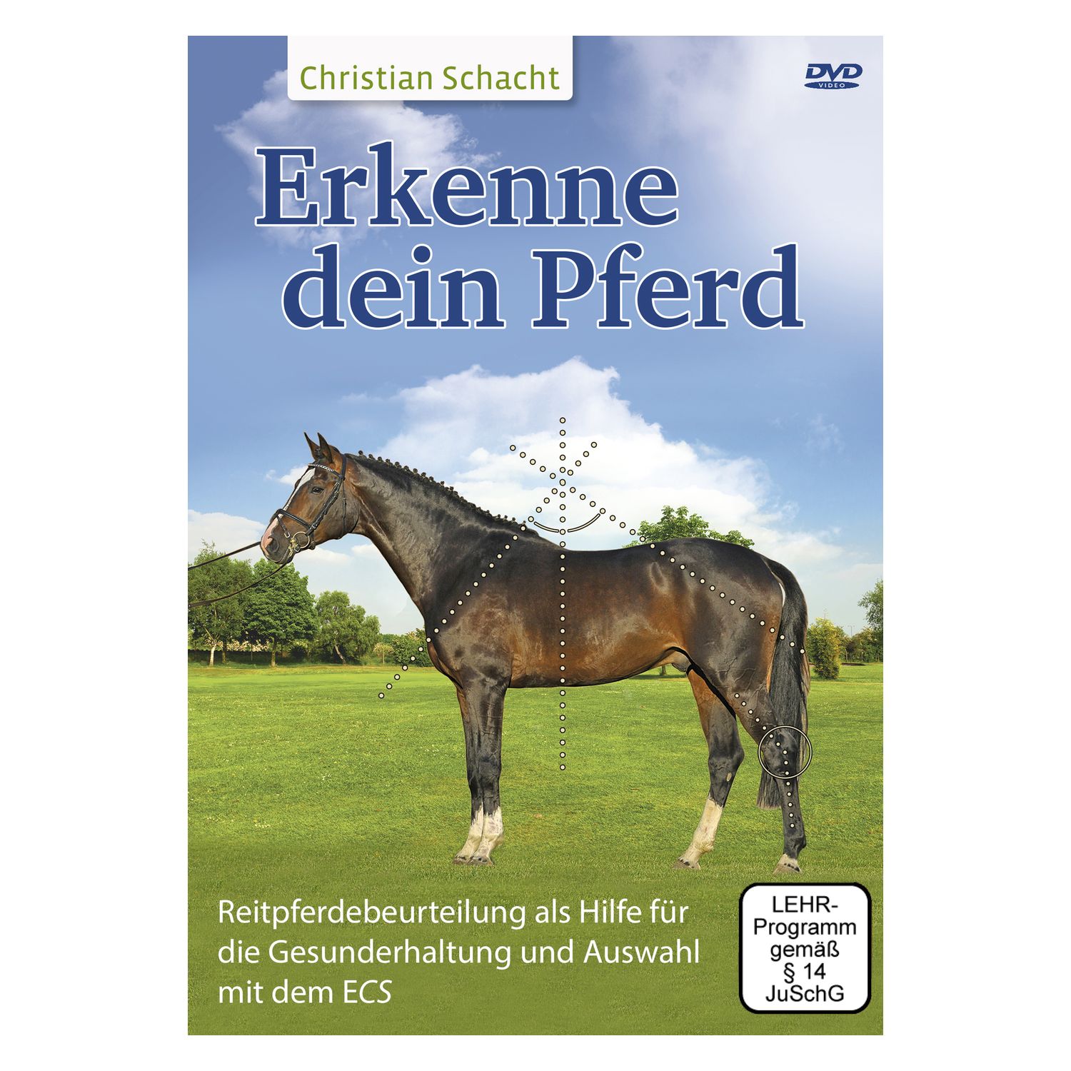 Erkenne dein Pferd, DVD 