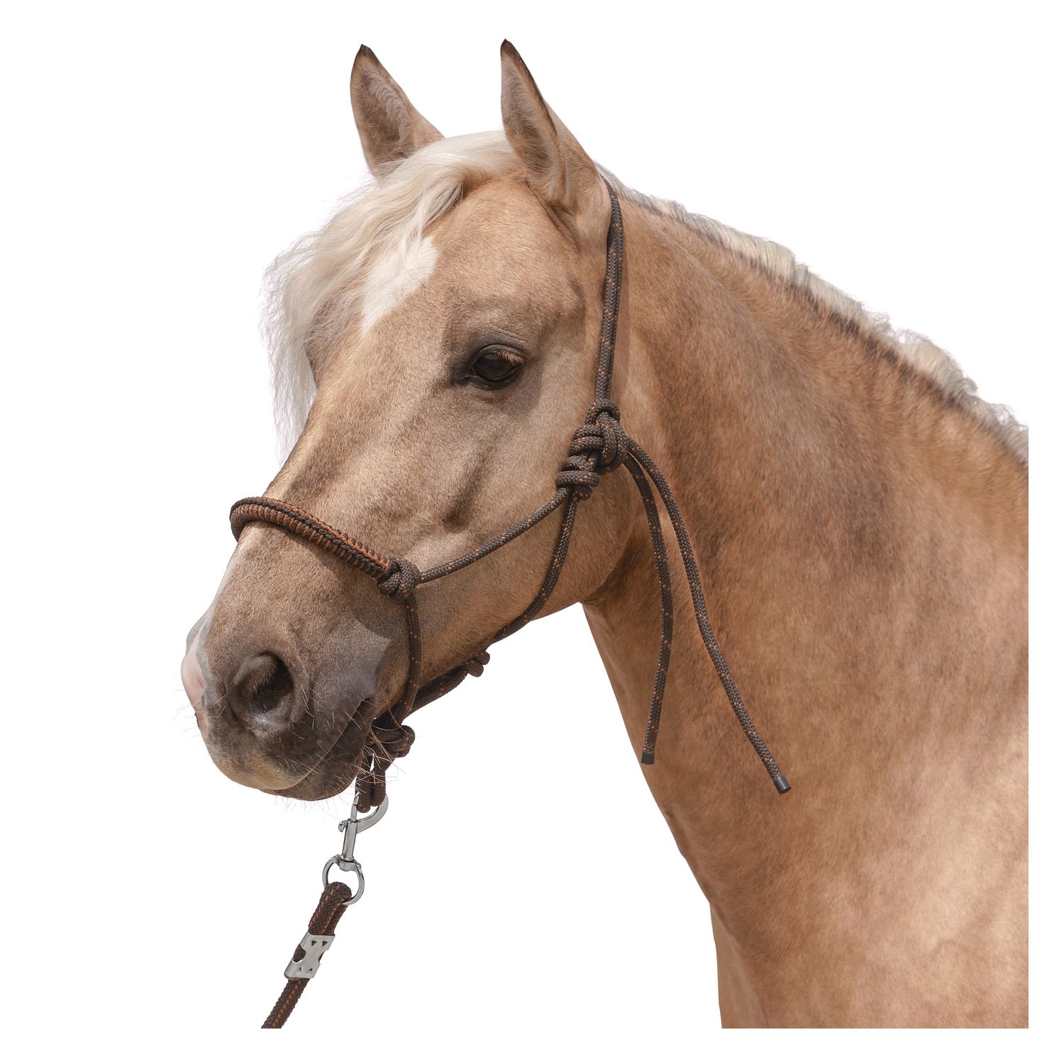 L-pro West Knotenhalfter mit Seil braun | Pony