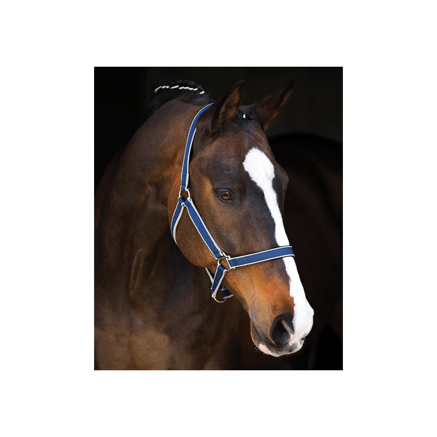 Horseware Halfter AMIGO Headcollar navy/silver | Vollblut