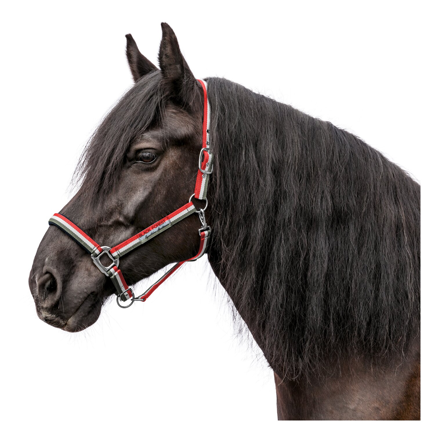 black forest Halfter Ashford olive/white/hibiscus | Pony