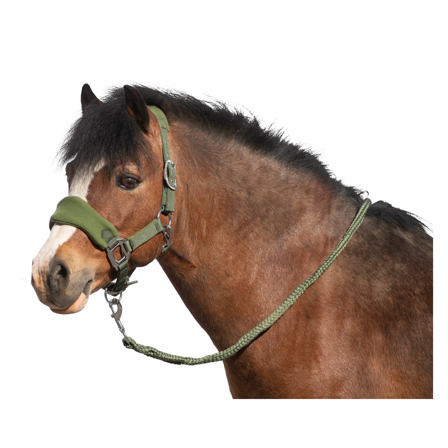Horse-friends Halfter-Set Rouen olive | Pony