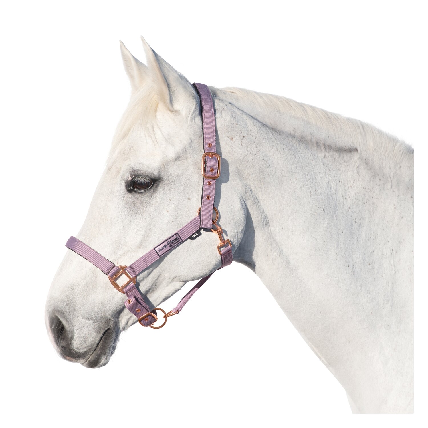 Horse-friends Halfter Lima smokeberry | Vollblut