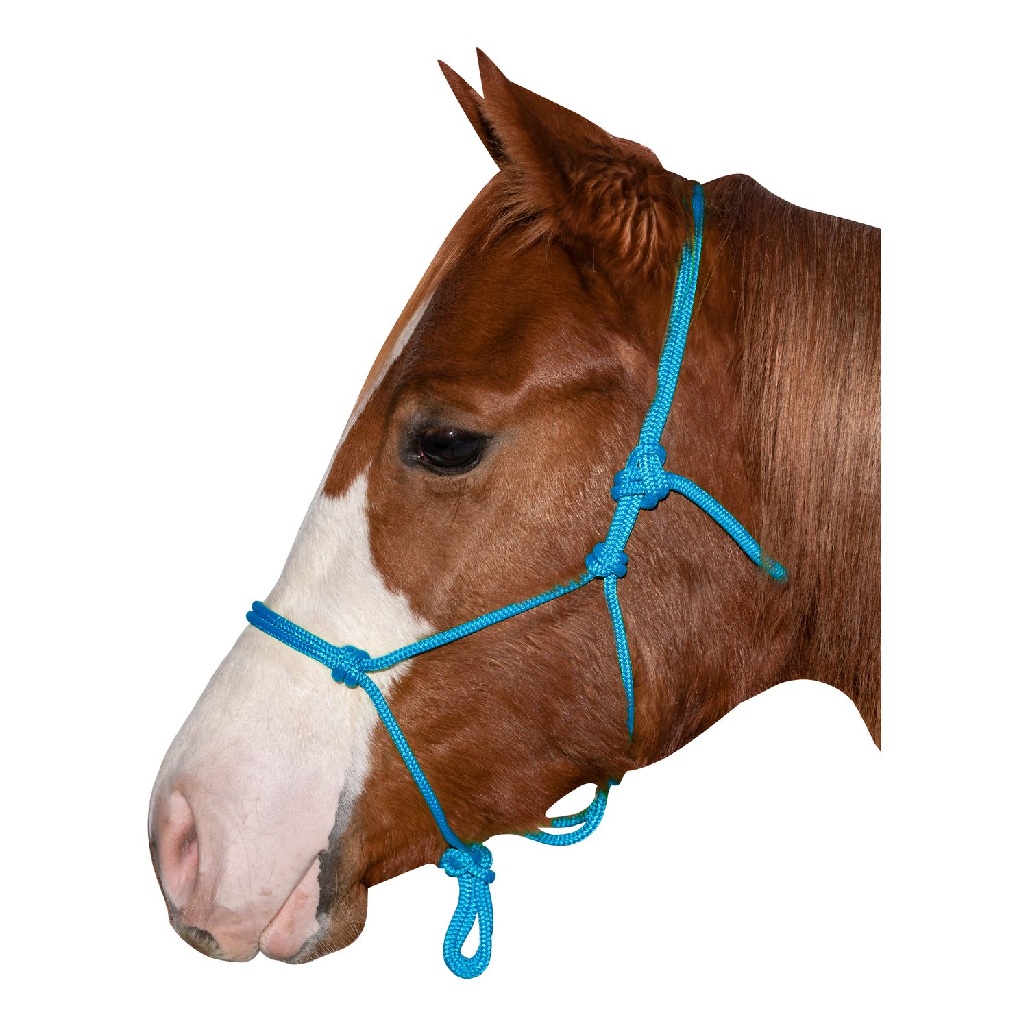 BROCKAMP Knotenhalfter Horse-Man-Halfter blau | Vollblut