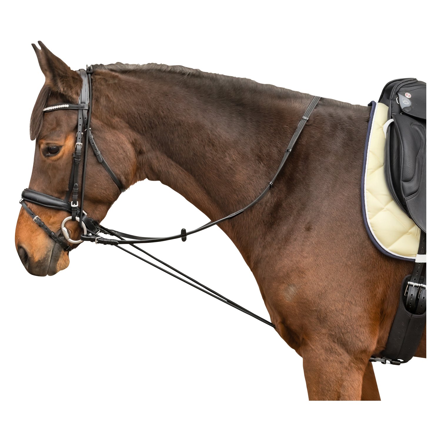 Pferd Halsverlängerer Hilfszügel Leichte Verstellbare Hilfe für Genick u Rücken 