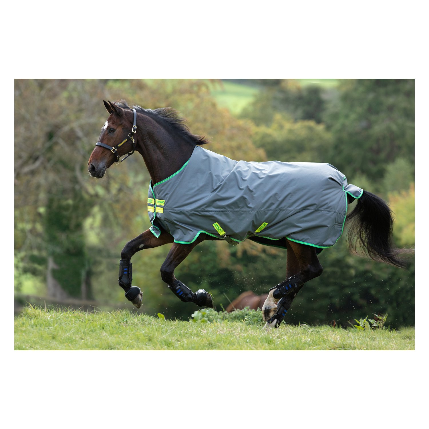 Horseware Outdoordecke AMIGO Hero 900 Medium grey/green/limegreen | 140 cm