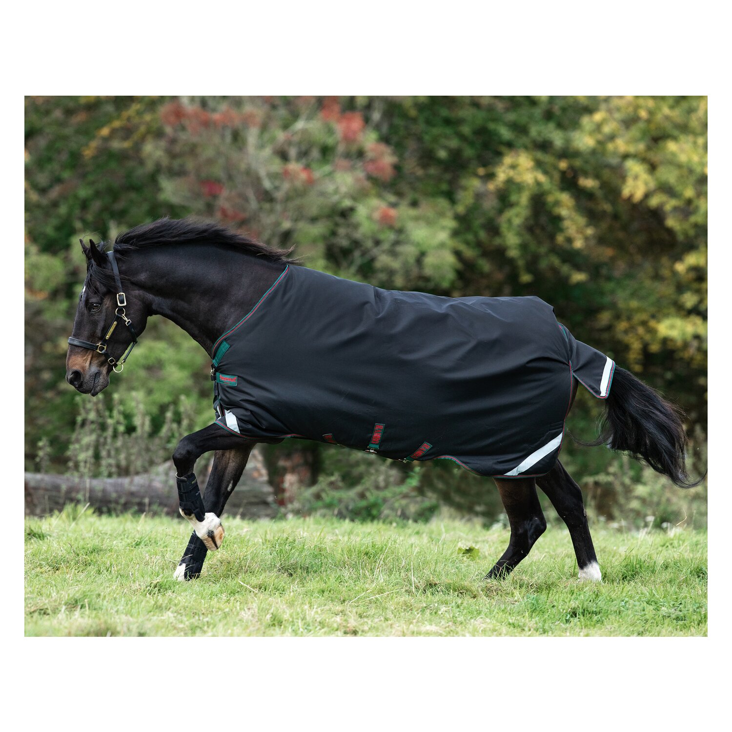HORSEWARE Weidedecke RAMBO Original Medium black | 140 cm