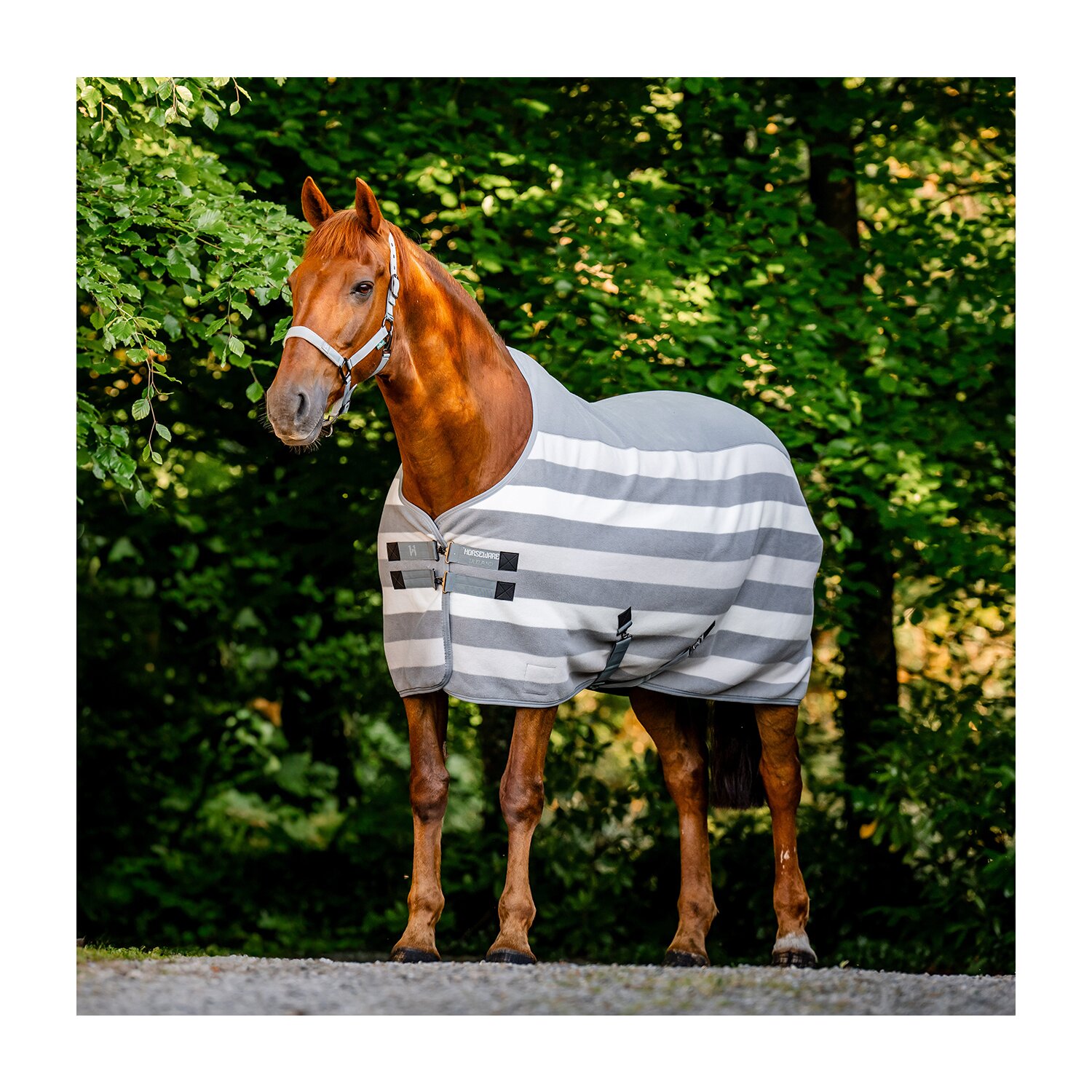HORSEWARE Abschwitzdecke Newmarket Fleece Cooler 