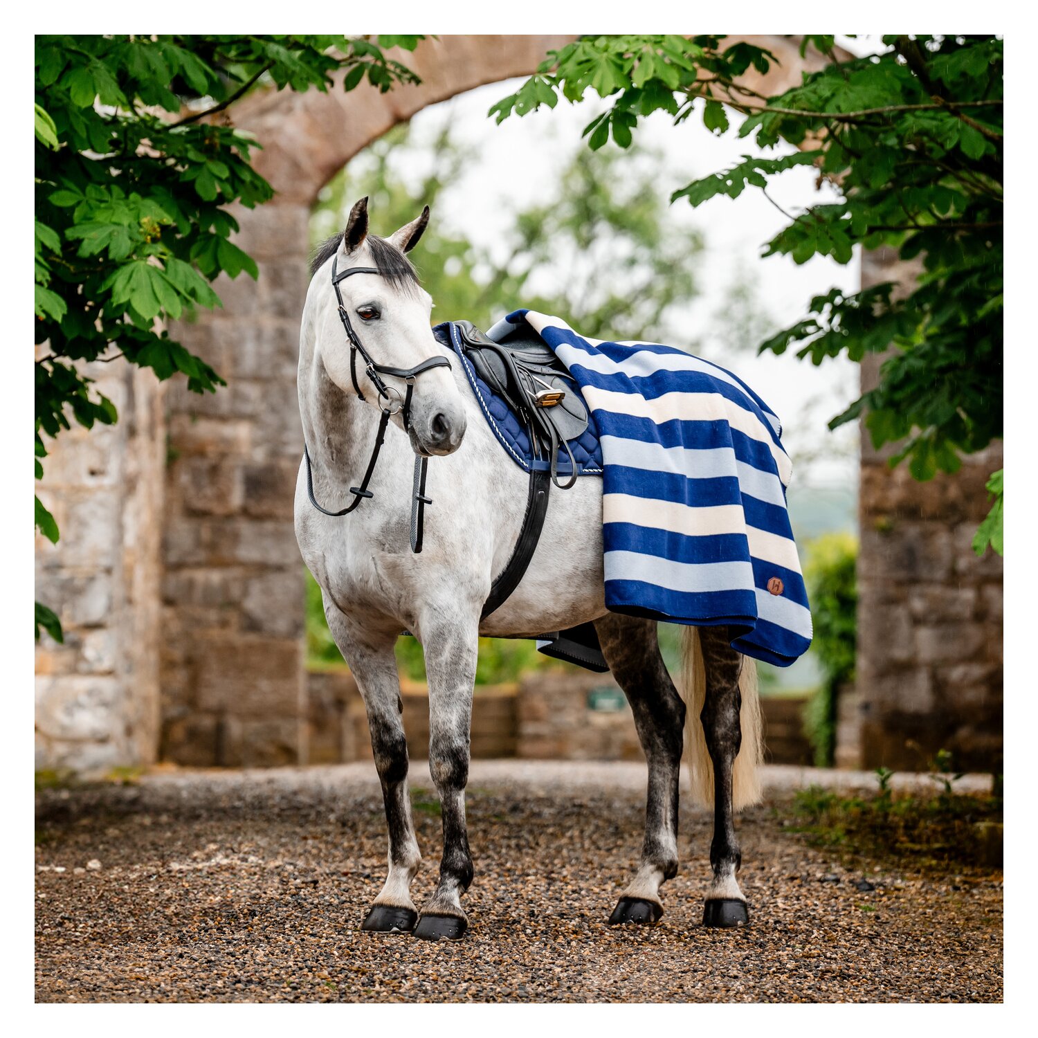 HORSEWARE Fleecedecke Newmarket Fleece witney navy | ca. 220 x 200 cm