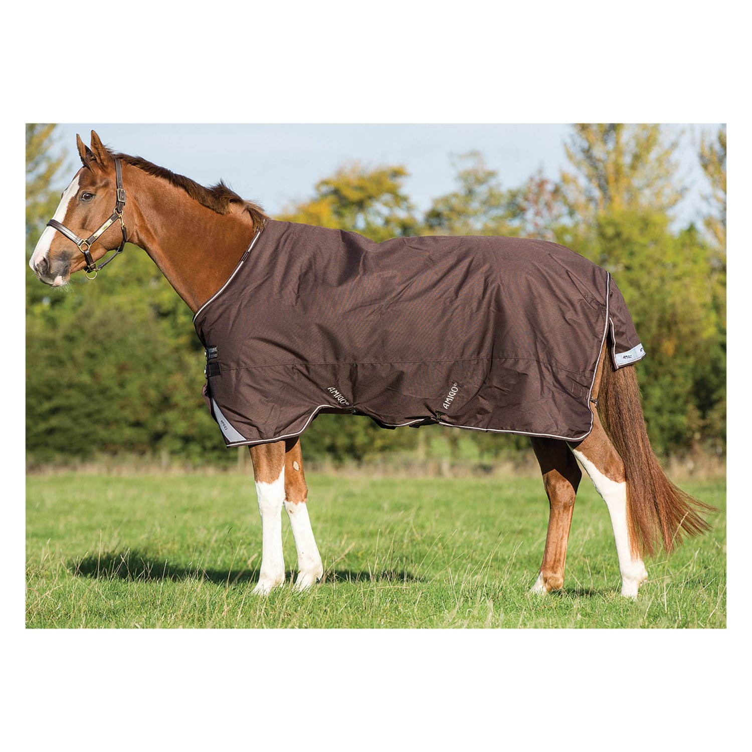 Horseware Regendecke AMIGO Bravo 12 Lite Regendecken