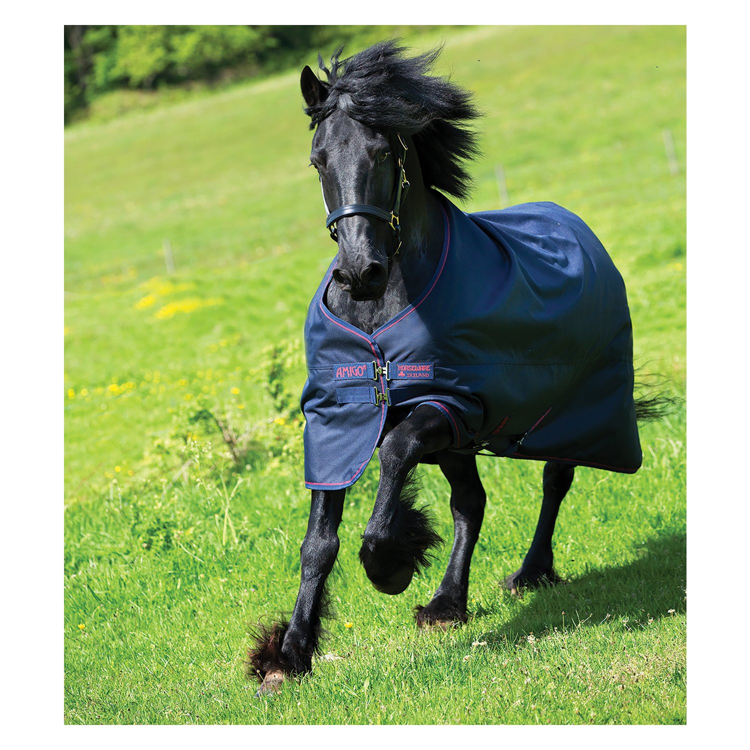 Horseware Outdoordecke AMIGO Bravo 12 XL Turnout Lite Regendecken