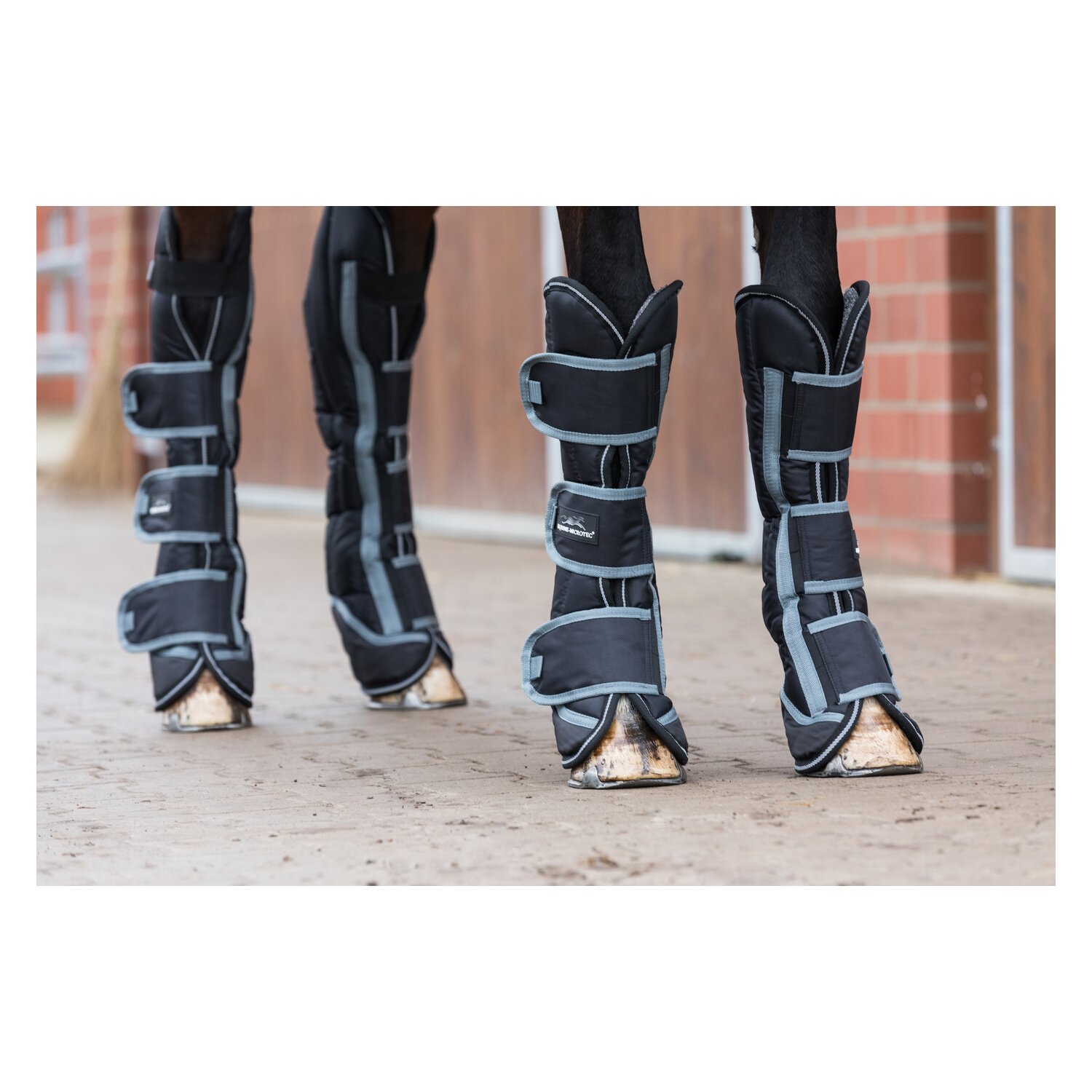 EQUINE-MICROTEC Transportgamaschen Leg Protector 