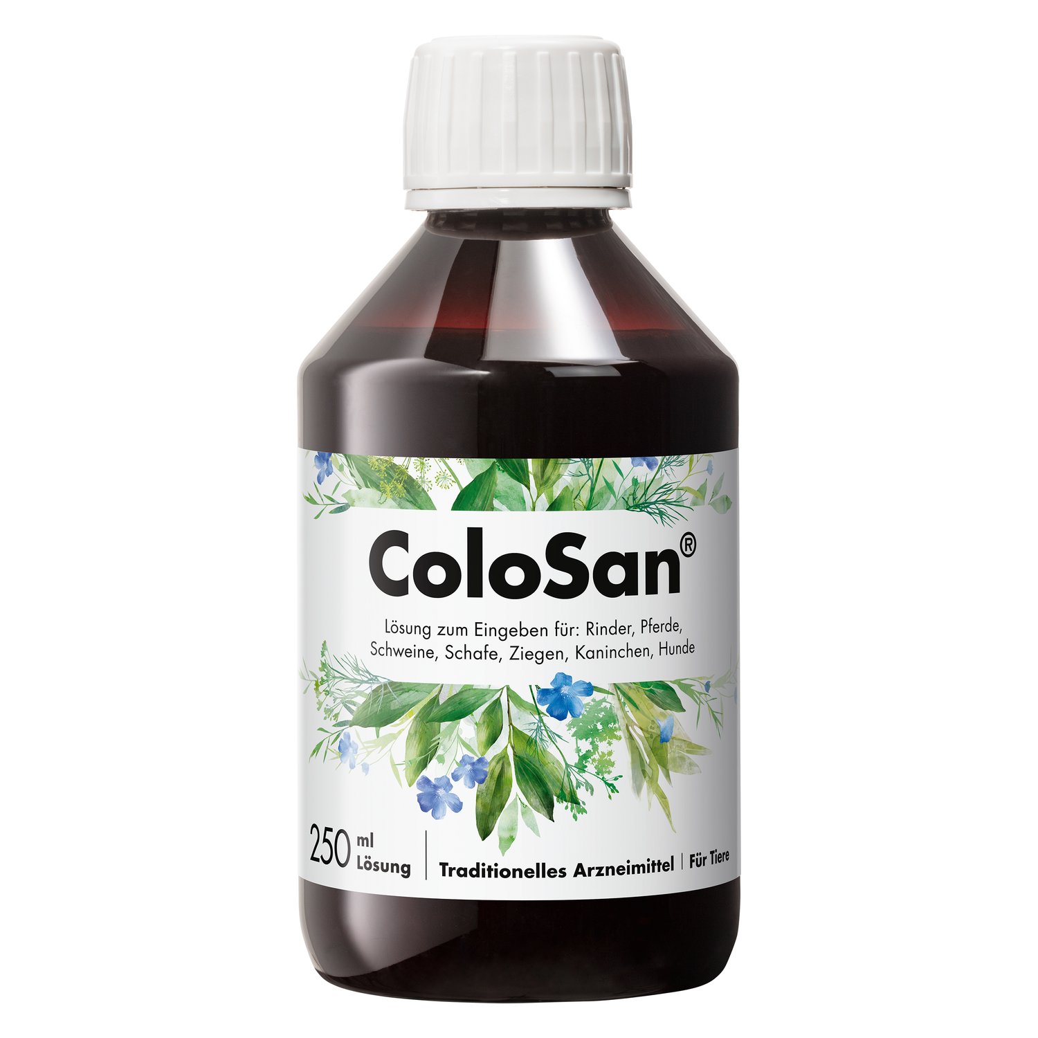 Dr. Schaette ColoSan Darmöl 250 ml