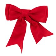 Horse-friends veiligheids-waarschuwingslus rood met clip 