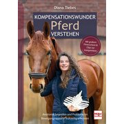 Kompensationswunder Pferde verstehen