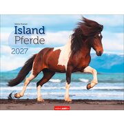 Kalender Islandpferde