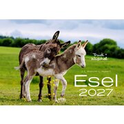 Kalender Esel