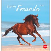 Postkartenkalender Pferde 2027 - Starke Freunde