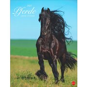 Posterkalender Pferde Classics 2027