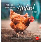 Postkartenkalender Hühner 2027 - Ach, du verrücktes Huhn