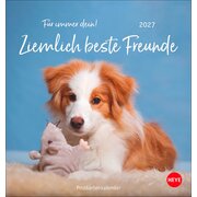Postkartenkalender 2027 - Für immer dein!