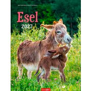 Kalender Esel 2027