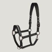 TOMMY HILFIGER EQUESTRIAN Halfter-Set Yale Shine